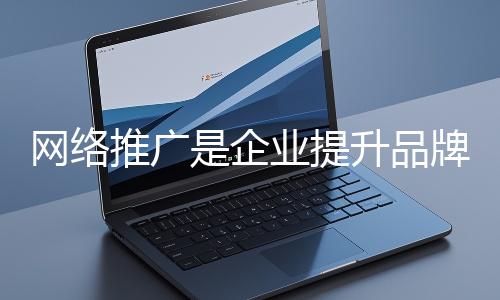 網(wǎng)絡(luò)推廣是企業(yè)提升品牌影響力、拓展市場(chǎng)的重要手段